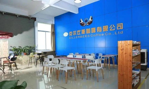 點贊！坦洲一企業入選廣東省工業旅游培育資源庫，文化藝術交流策劃點亮工業新風景